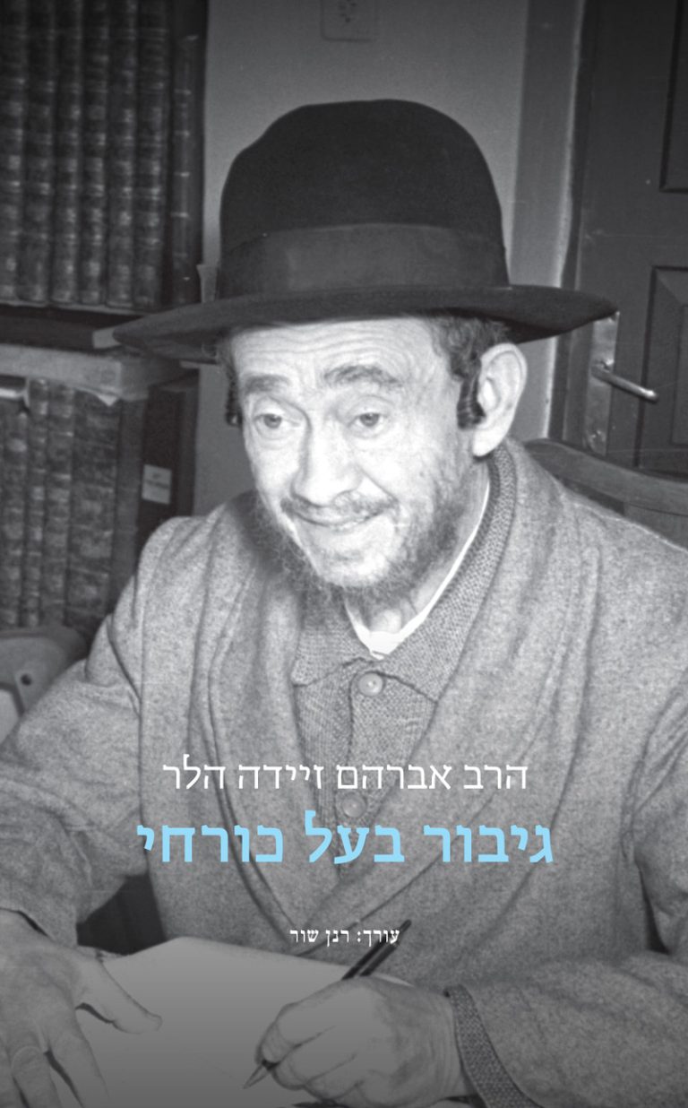 גיבור בעל כורחי - עטיפת הספר